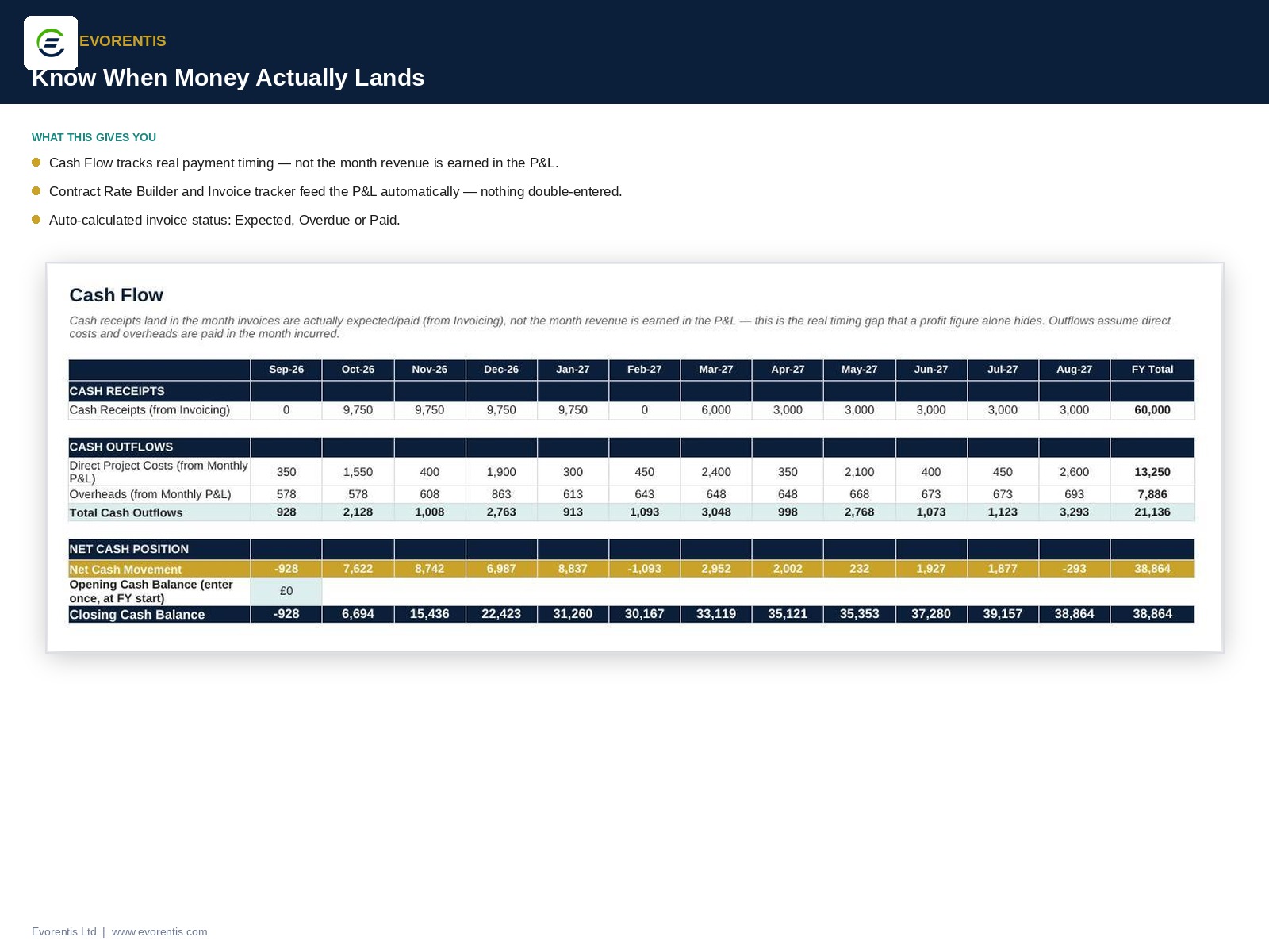 Service Business P&L Template feature preview