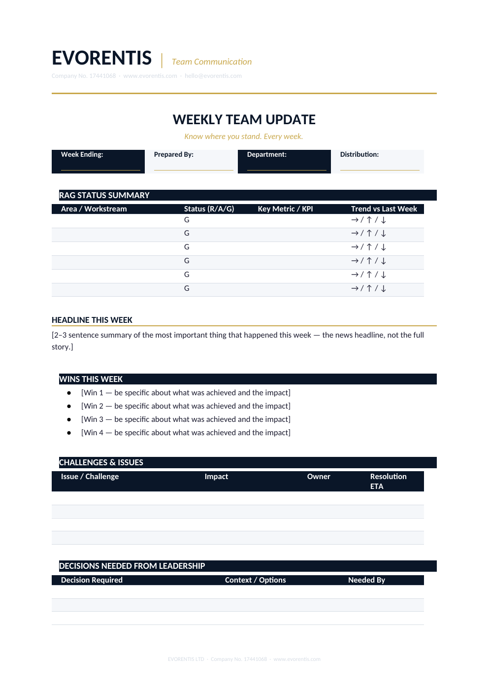 Actual preview of Weekly Team Update Template
